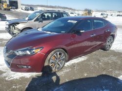 Salvage cars for sale at Earlington, KY auction: 2017 Nissan Maxima 3.5S