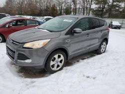 Salvage cars for sale at North Billerica, MA auction: 2013 Ford Escape SE