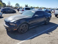 Salvage cars for sale at Van Nuys, CA auction: 2010 Ford Mustang