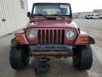 2001 Jeep Wrangler / TJ Sport