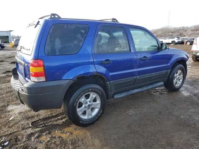 2006 Ford Escape XLT