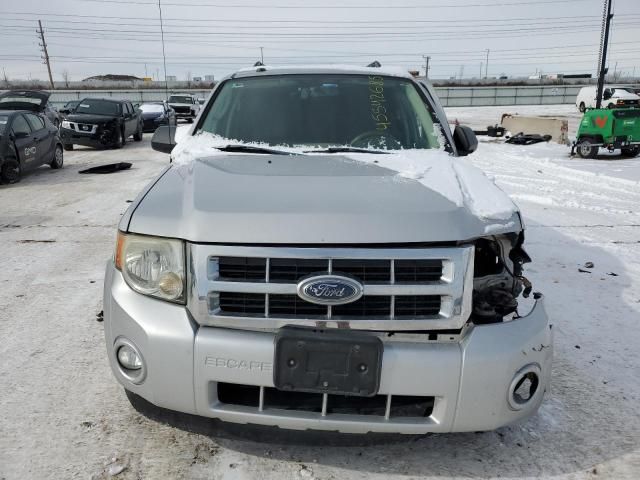 2009 Ford Escape XLT