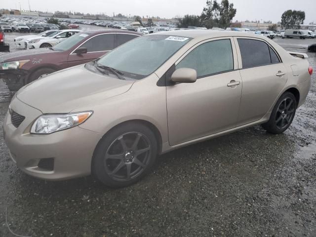 2009 Toyota Corolla Base