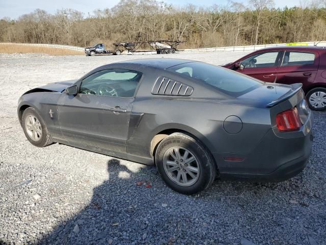 2010 Ford Mustang