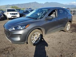 Salvage cars for sale at Kapolei, HI auction: 2022 Ford Escape SE