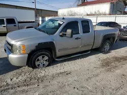 2007 Chevrolet Silverado C1500 en venta en Lexington, KY