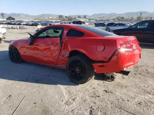 2012 Ford Mustang Shelby GT500