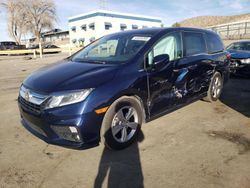 Salvage cars for sale at Albuquerque, NM auction: 2020 Honda Odyssey EX