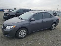 Carros salvage a la venta en subasta: 2010 Toyota Corolla Base