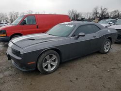 Salvage cars for sale at Baltimore, MD auction: 2019 Dodge Challenger SXT