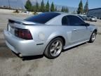 2001 Ford Mustang GT