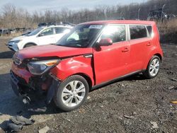 Salvage cars for sale at Baltimore, MD auction: 2015 KIA Soul +