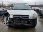 2007 Hyundai Tucson SE