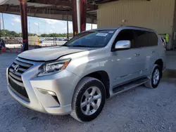 Clean Title Cars for sale at auction: 2015 Lexus GX 460