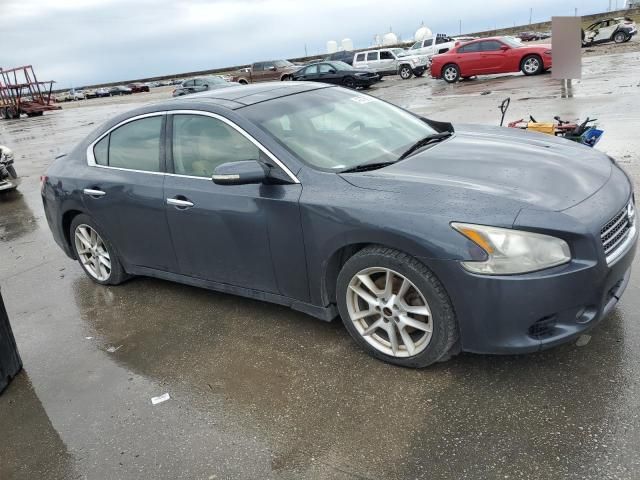 2009 Nissan Maxima S