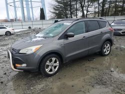 Salvage cars for sale at Windsor, NJ auction: 2014 Ford Escape SE