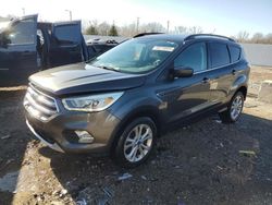 Salvage cars for sale at Louisville, KY auction: 2017 Ford Escape SE