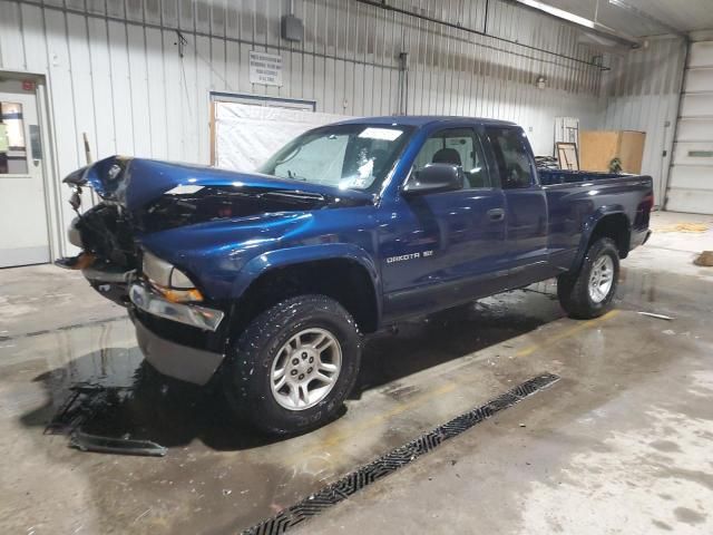 2001 Dodge Dakota