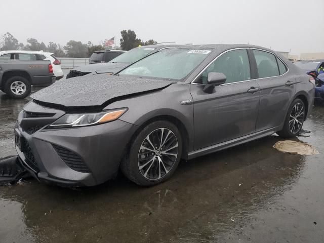 2019 Toyota Camry Hybrid