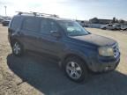 2010 Honda Pilot EXL