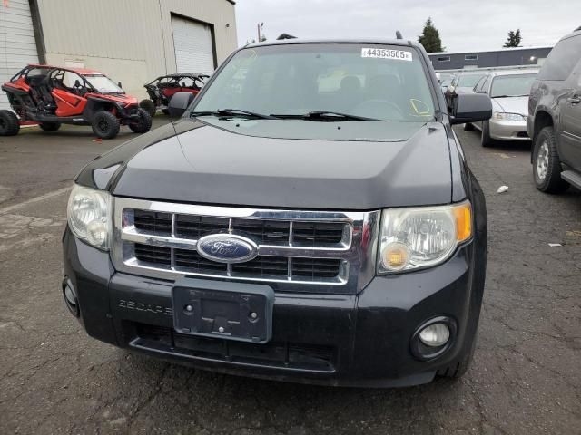 2008 Ford Escape XLT