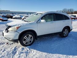 Salvage cars for sale at Davison, MI auction: 2010 Honda CR-V EXL