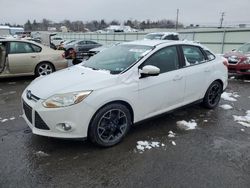 Salvage cars for sale at Pennsburg, PA auction: 2013 Ford Focus SE