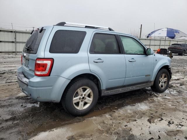 2008 Ford Escape HEV