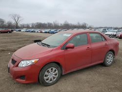 Toyota salvage cars for sale: 2009 Toyota Corolla Base