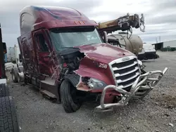 Freightliner salvage cars for sale: 2021 Freightliner Cascadia 126