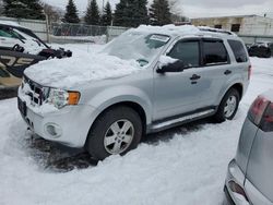 Salvage cars for sale at Albany, NY auction: 2012 Ford Escape XLT