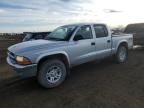 2003 Dodge Dakota Quad SLT