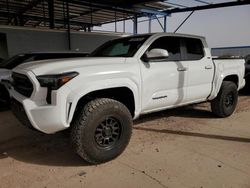 Salvage cars for sale at Phoenix, AZ auction: 2024 Toyota Tacoma Double Cab