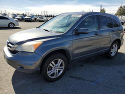 Salvage cars for sale from Copart Rancho Cucamonga, CA: 2010 Honda CR-V EXL