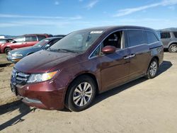 Salvage cars for sale at American Canyon, CA auction: 2017 Honda Odyssey EXL