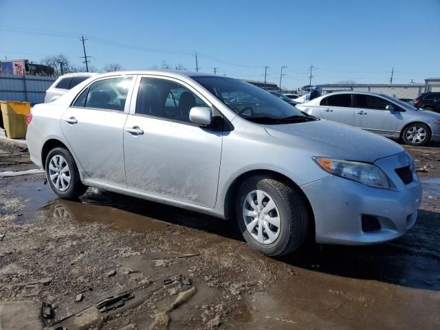 2010 Toyota Corolla Base