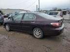 2004 Lexus ES 330