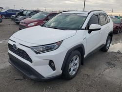 Salvage cars for sale at Indianapolis, IN auction: 2021 Toyota Rav4 XLE