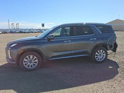 Salvage cars for sale at Brighton, CO auction: 2025 Hyundai Palisade SEL