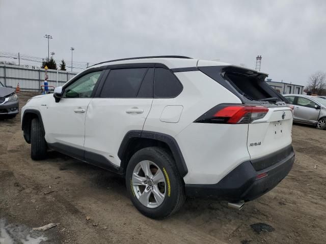 2020 Toyota Rav4 XLE