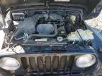 2005 Jeep Wrangler / TJ SE