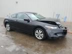 2009 Honda Accord EX