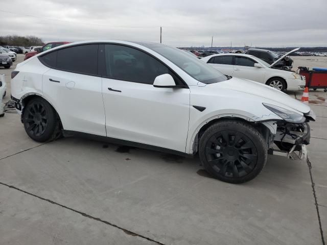 2020 Tesla Model Y