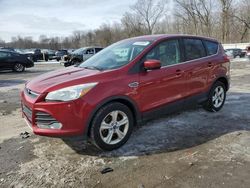 Ford Escape se salvage cars for sale: 2016 Ford Escape SE