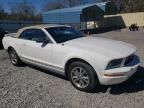 2005 Ford Mustang