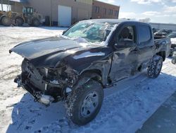 Carros salvage sin ofertas aún a la venta en subasta: 2023 Toyota Tacoma Double Cab