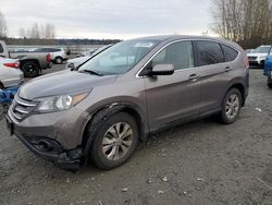 SUV salvage a la venta en subasta: 2013 Honda CR-V EX