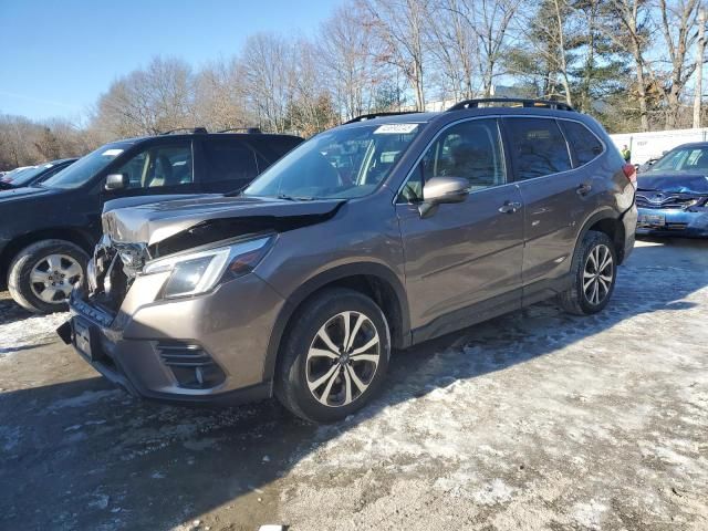 2023 Subaru Forester Limited