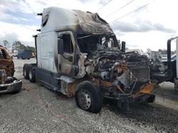 Salvage trucks for sale at Loganville, GA auction: 2015 Freightliner Cascadia 125