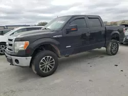 Salvage trucks for sale at Orlando, FL auction: 2013 Ford F150 Supercrew